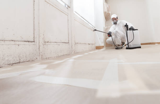 24/7 Emergency Attic Mold Removal experts in Renton, WA